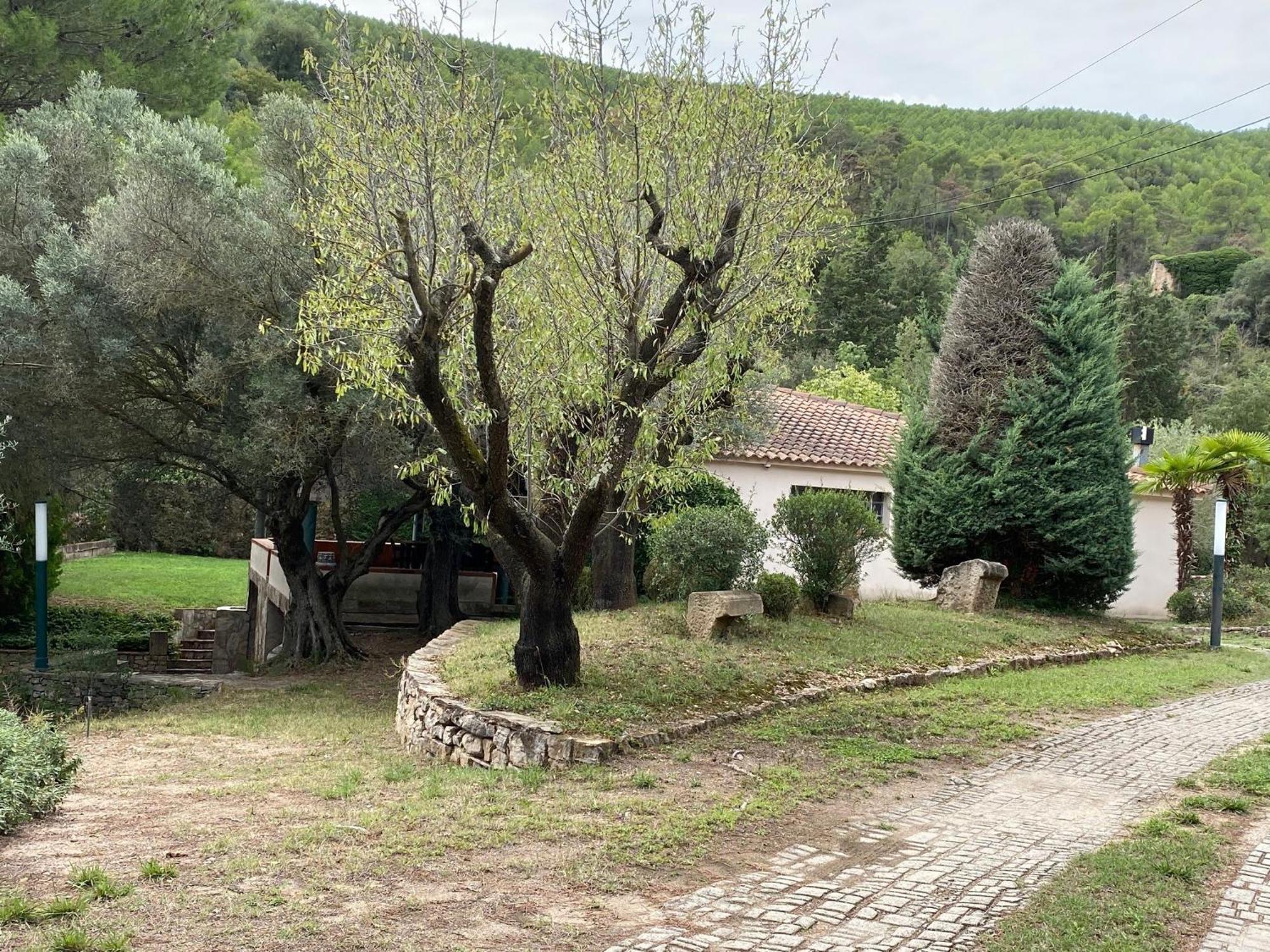 La Vinya De Mas Pujol Villa Suria Exterior photo